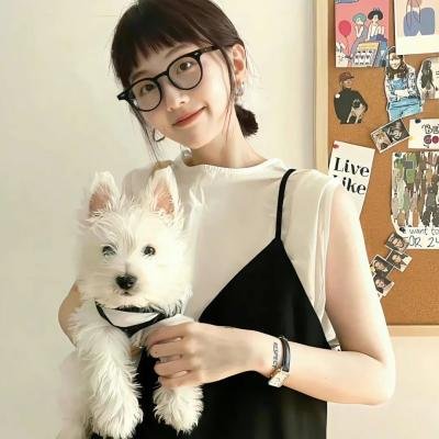与鲨鱼游弋