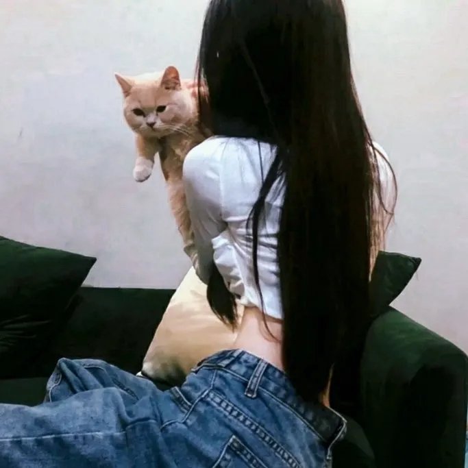 菠萝快车